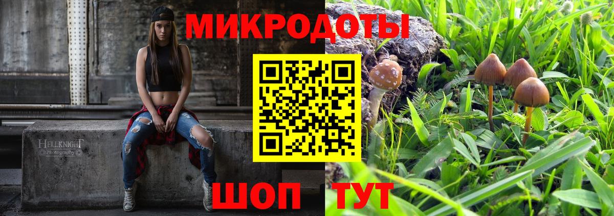 Псилоцибиновые грибы Cubensis  Вход с VPN  Советск  цены   Псилоцибиновые грибы MAGIC MUSHROOMS 