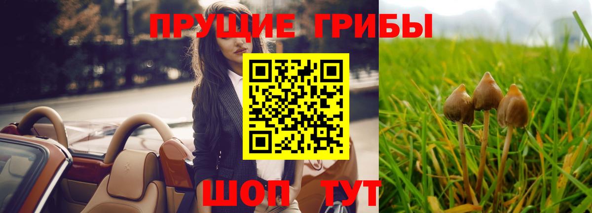 Галлюциногенные грибы мицелий Советск