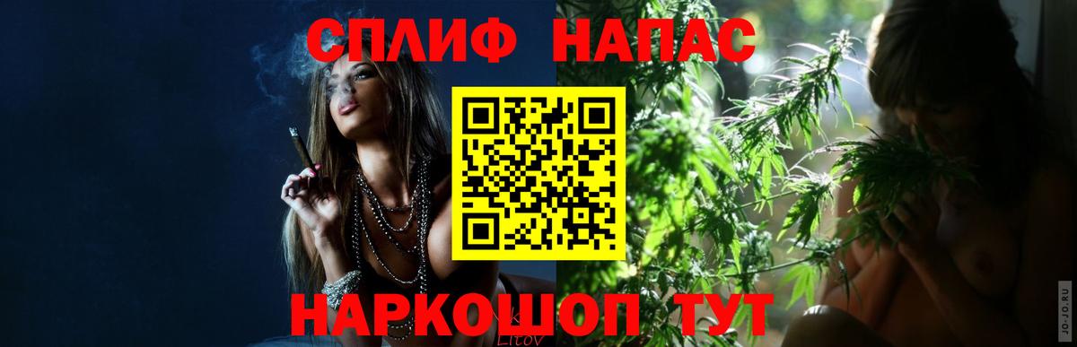 Каннабис MAZAR Советск